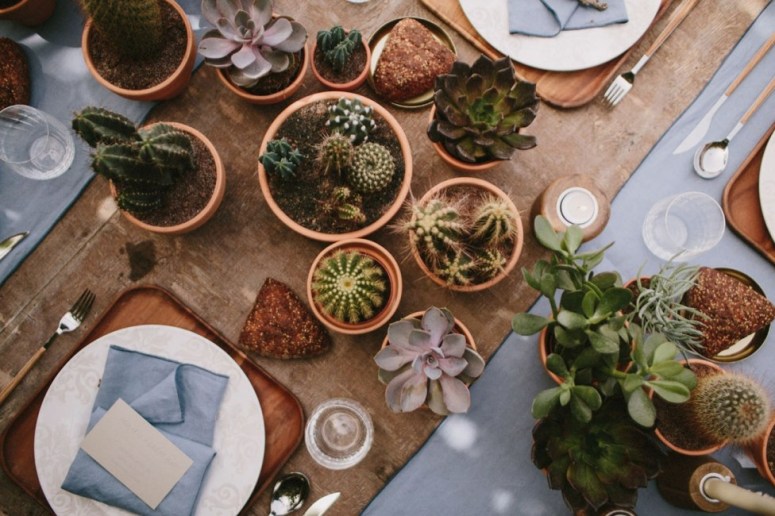 cactus-plantjes-tafel-plantenverhuur-plantscapes