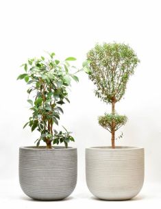 plantenhangers-potten-hangplanten-potten-plantenbakken-plantscapes-interieurbeplanting