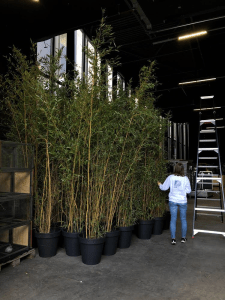 This image has an empty alt attribute; its file name is image_8976eafc-78e7-4b2d-85da-b7d9872c5d2e.img_6287.png